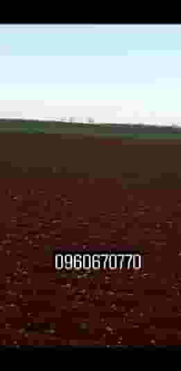 أرض 12000م² للبيع