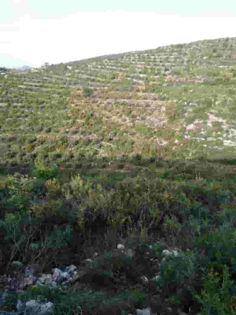 أرض 13000م² للبيع