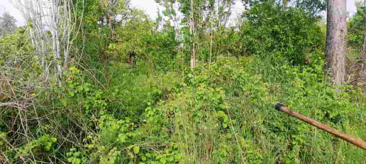 أرض 2000م² للبيع