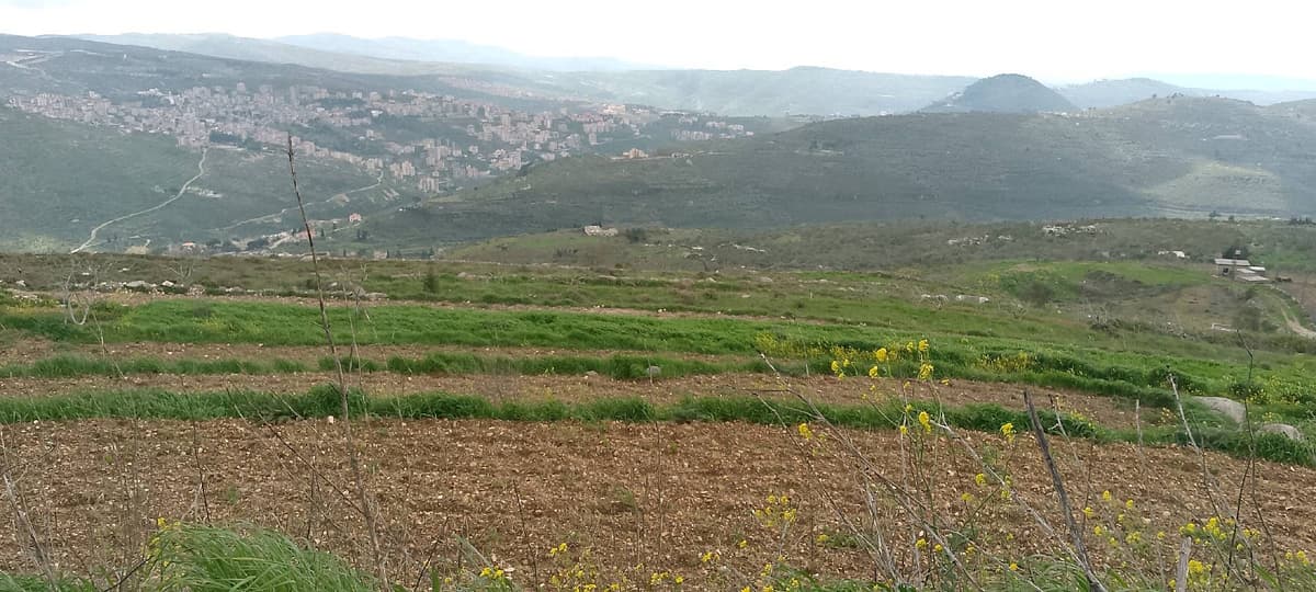 أرض 800م² للبيع