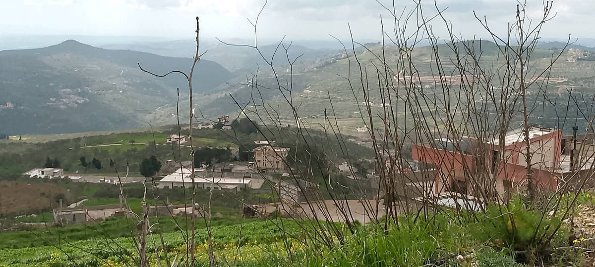 أرض 800م² للبيع