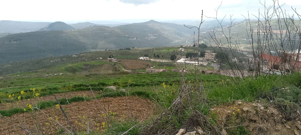 أرض 800م² للبيع