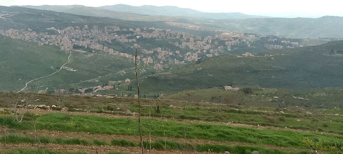 أرض 800م² للبيع