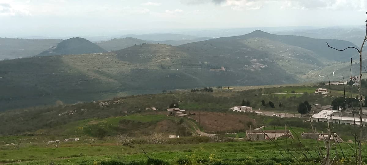 أرض 800م² للبيع