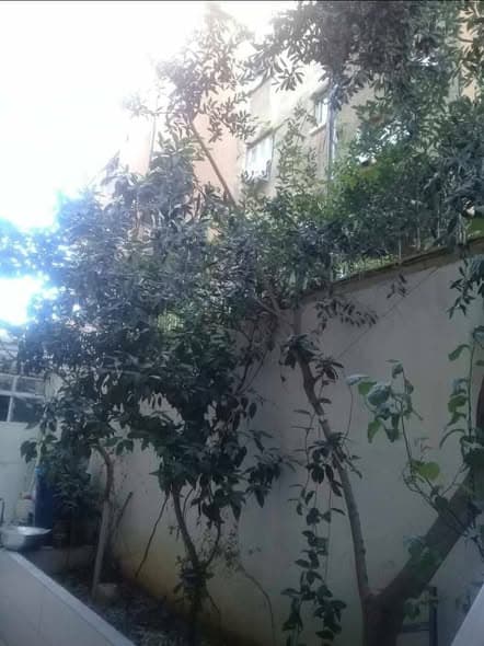 شقة 2 غرف 1 صالات 100م² أرضي للبيع