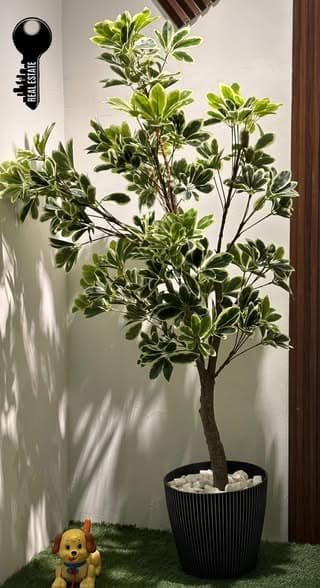 شقة 2 غرف 1 صالات 107م² طابق 1 للبيع