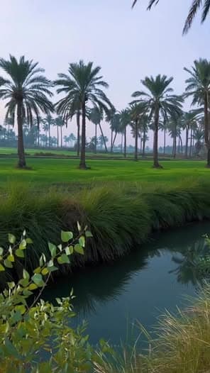 أرض 4700م² للبيع