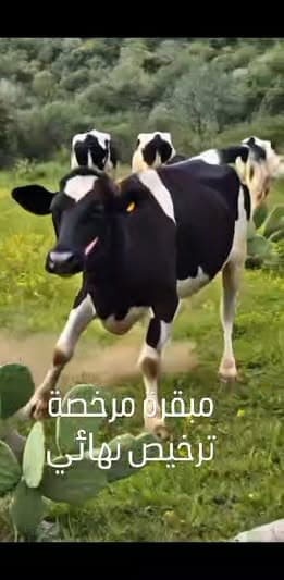 أرض 350م² للبيع