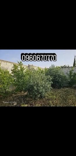 مزرعة 150م² للبيع