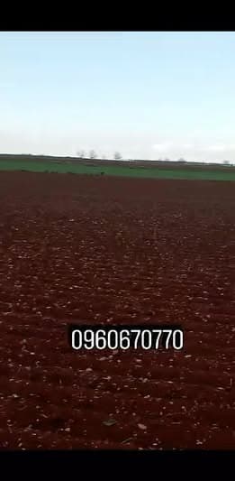 أرض 12000م² للبيع