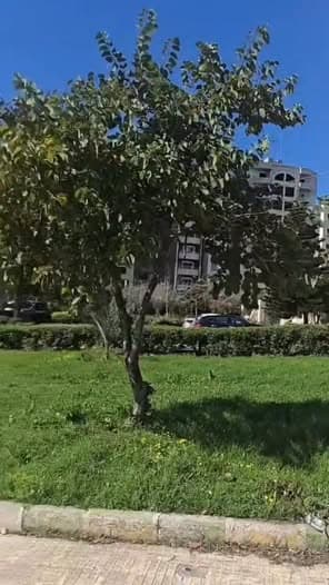 شقة 200م² للبيع