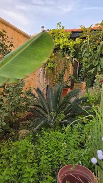 شقة 3 غرف 1 صالات 150م² للبيع