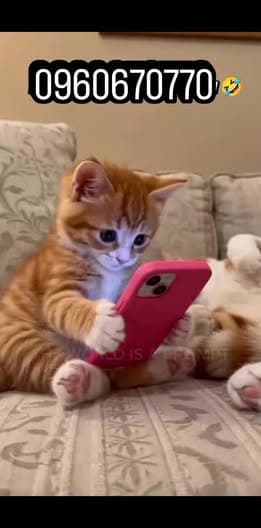 أرض 625م² للبيع