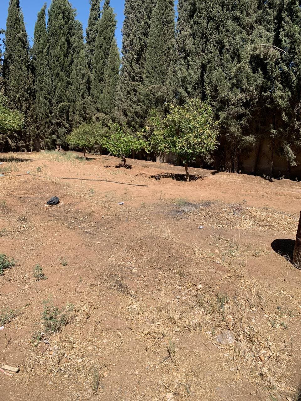 فيلا 3 غرف 1 صالات 2000م² للبيع