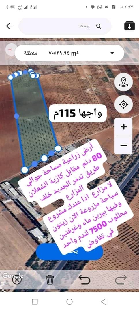 أرض 80000م² للبيع