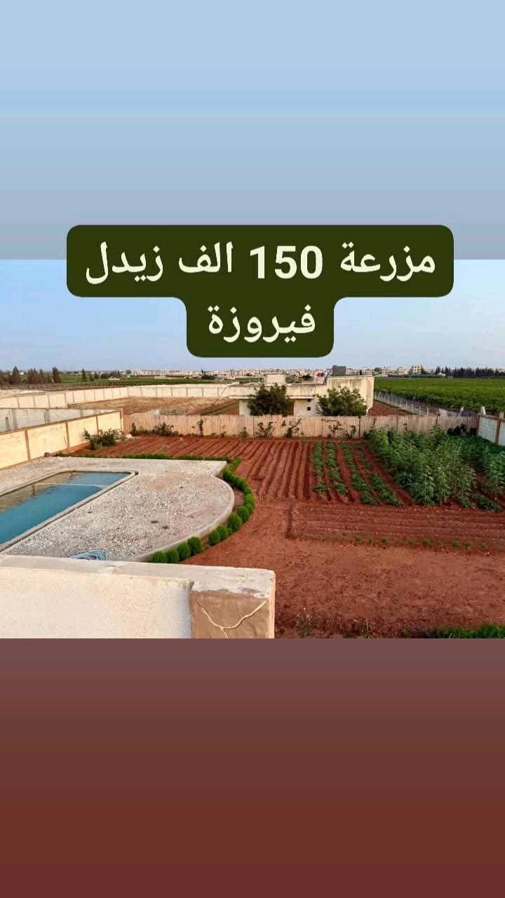مزرعة 2015م² للبيع