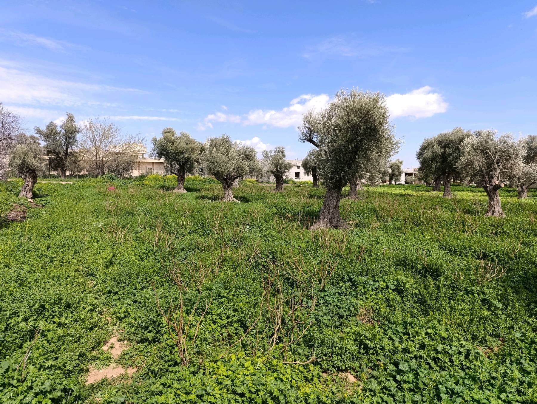 أرض 1700م² للبيع