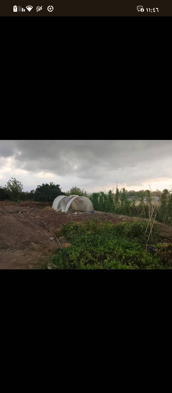 مزرعة 6341م² للبيع