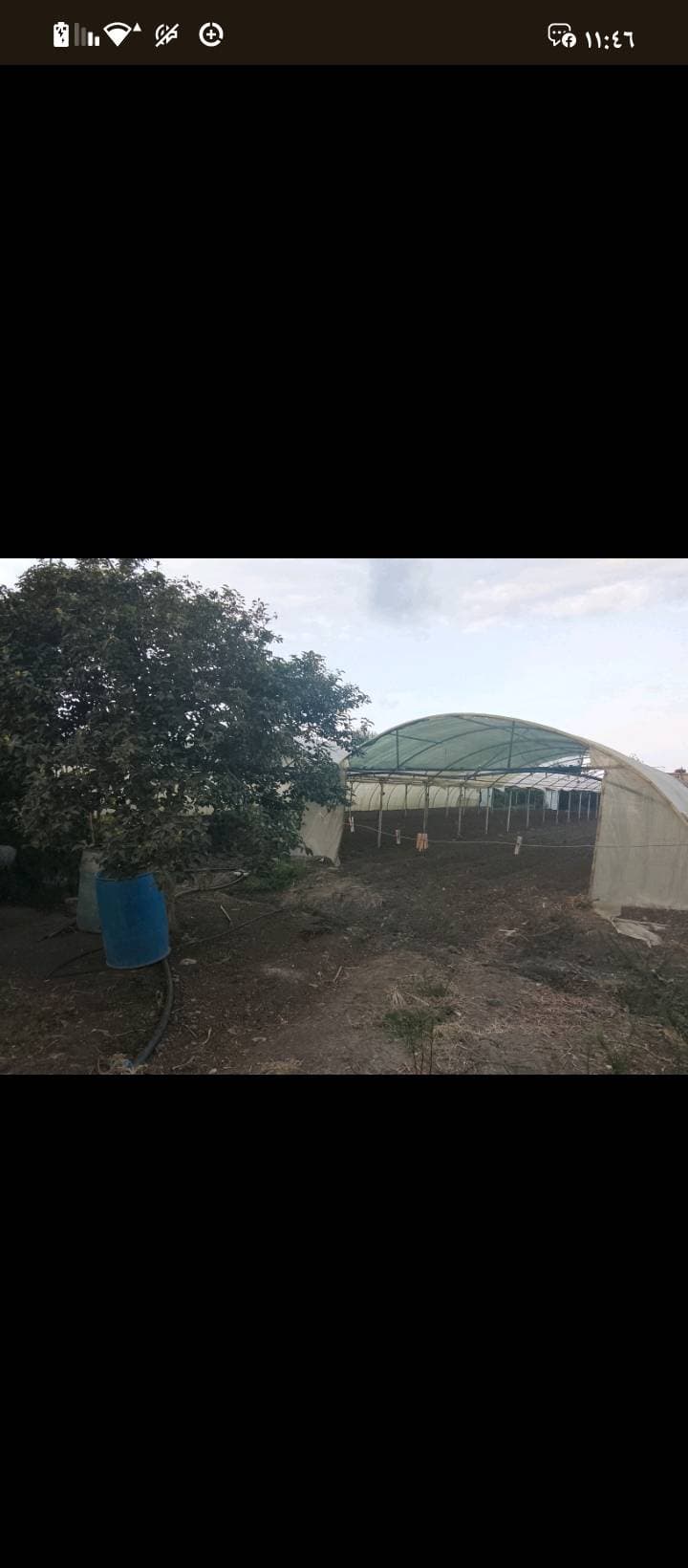 مزرعة 6341م² للبيع