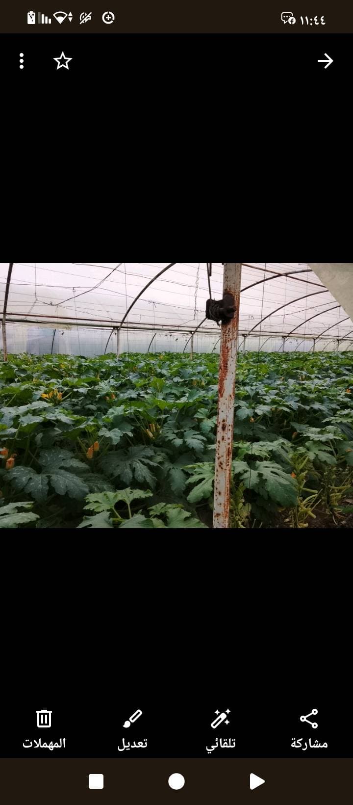 مزرعة 6341م² للبيع