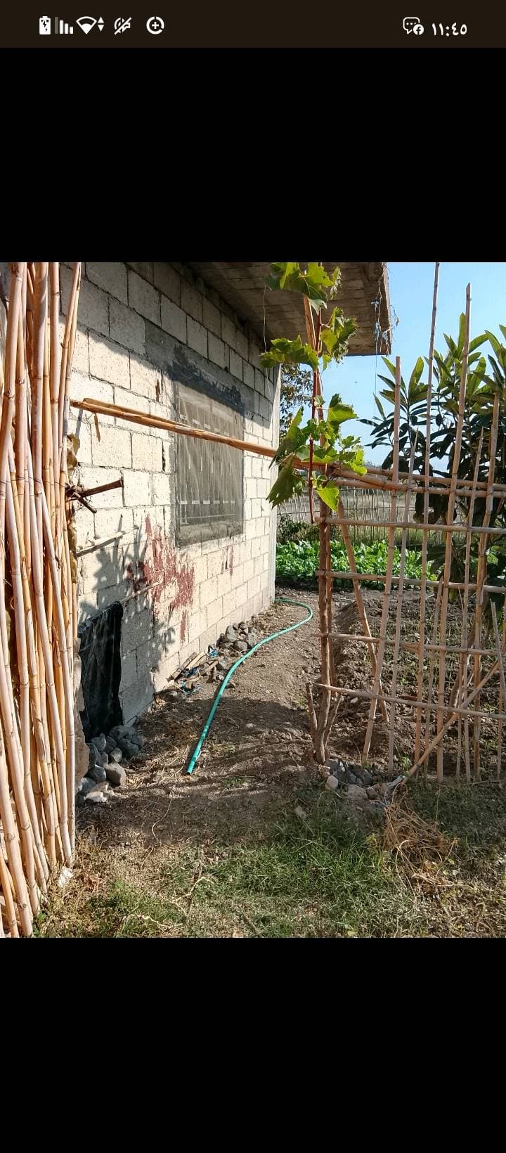 مزرعة 6341م² للبيع