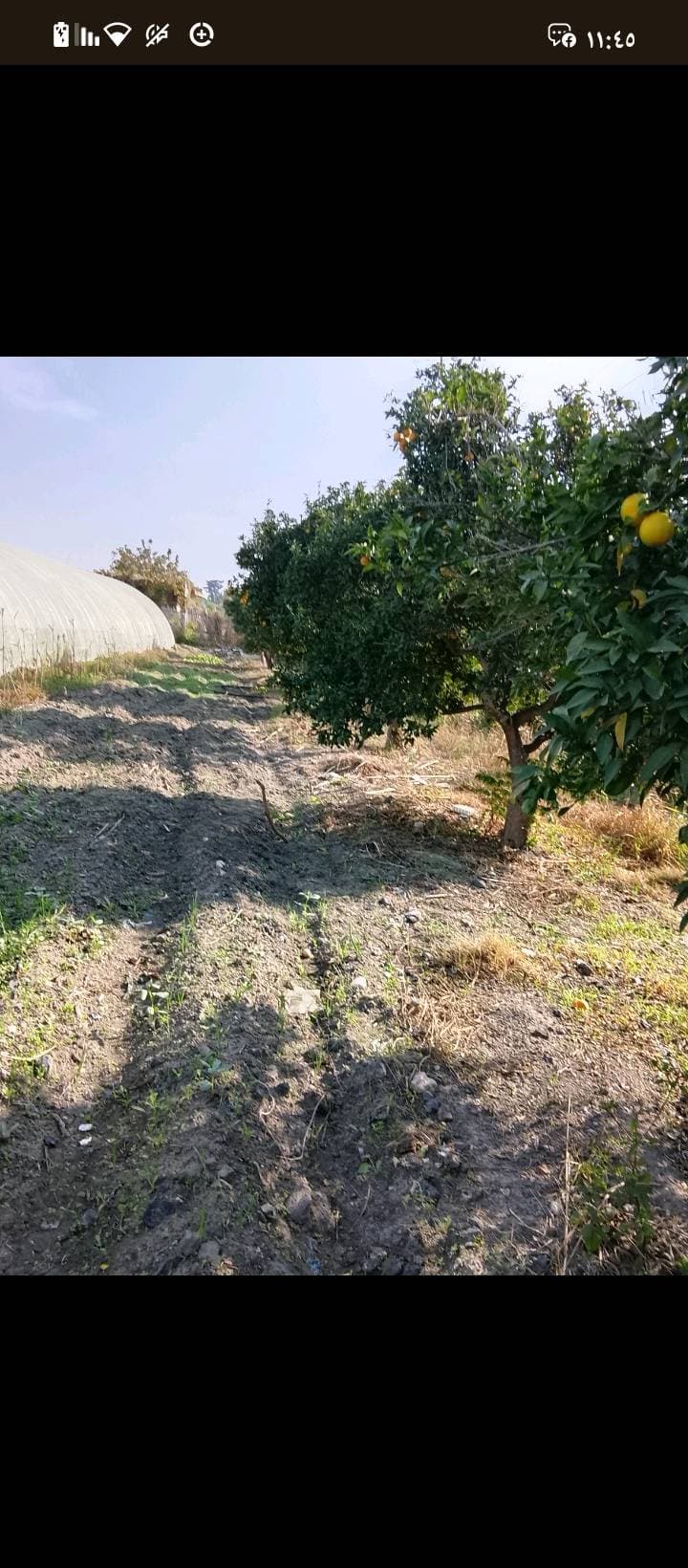 مزرعة 6341م² للبيع