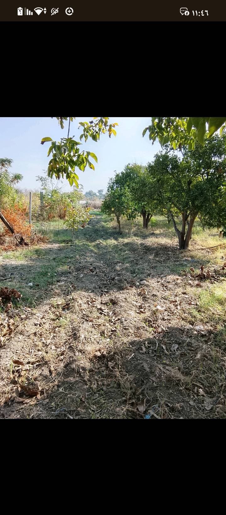 مزرعة 6341م² للبيع