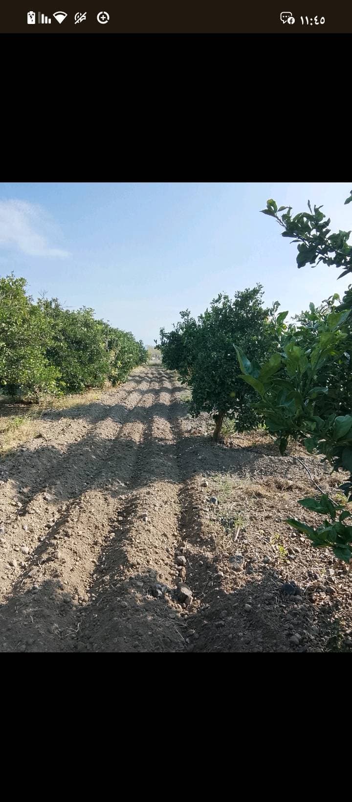 مزرعة 6341م² للبيع