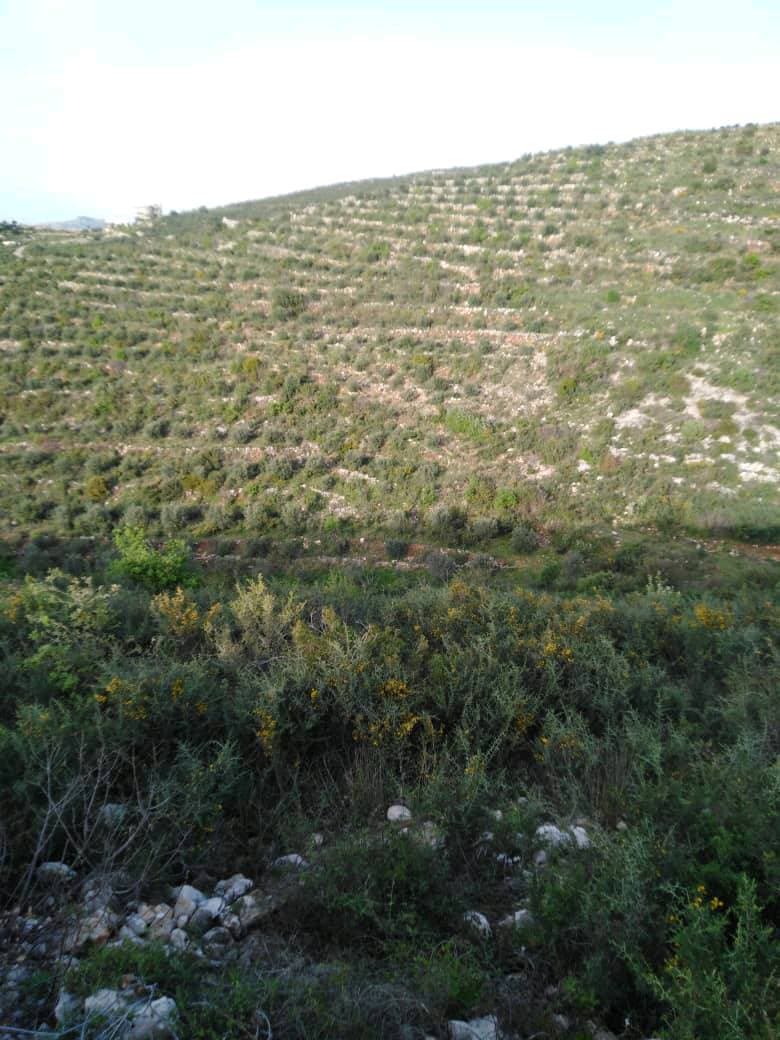 أرض 13000م² للبيع