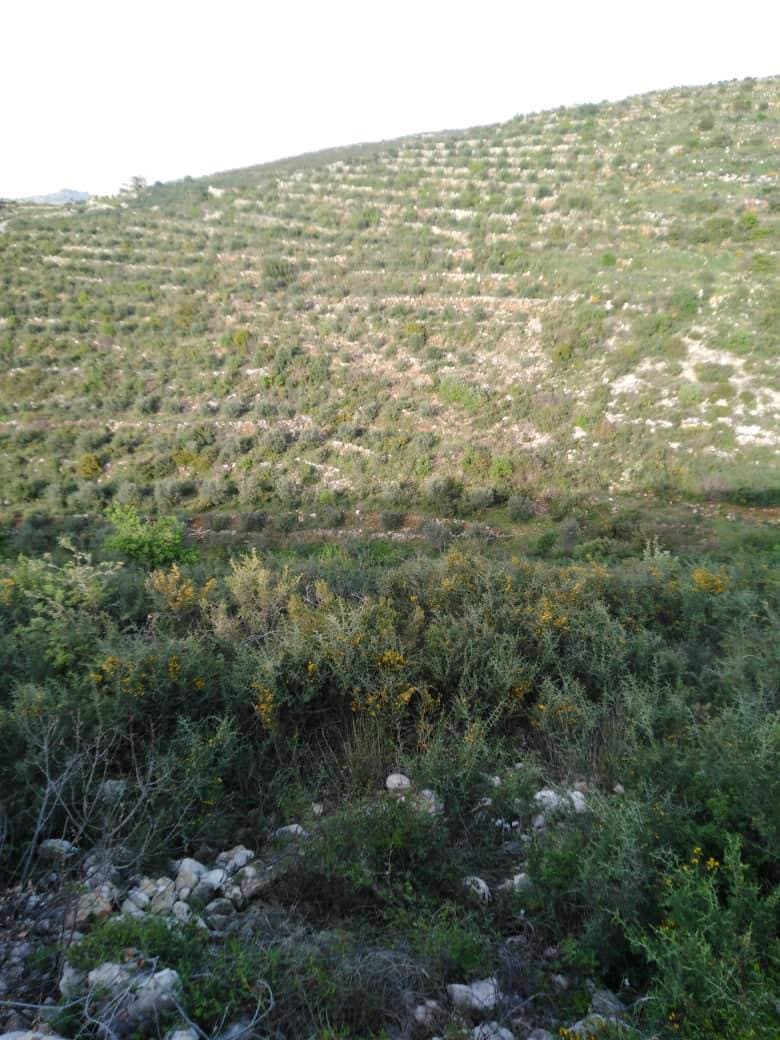 أرض 13000م² للبيع