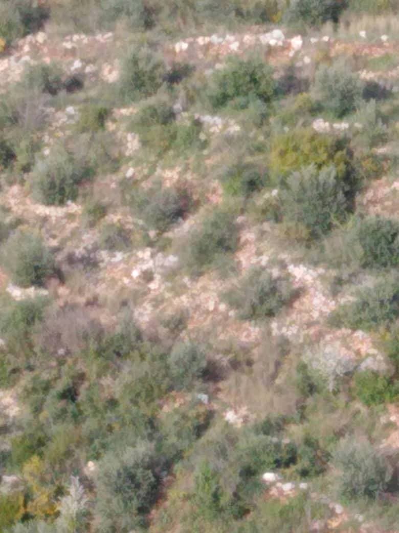 أرض 13000م² للبيع