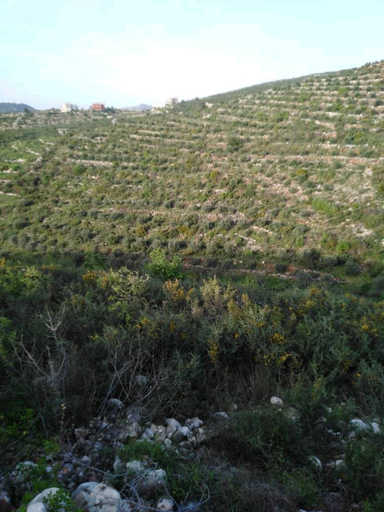 أرض 13000م² للبيع