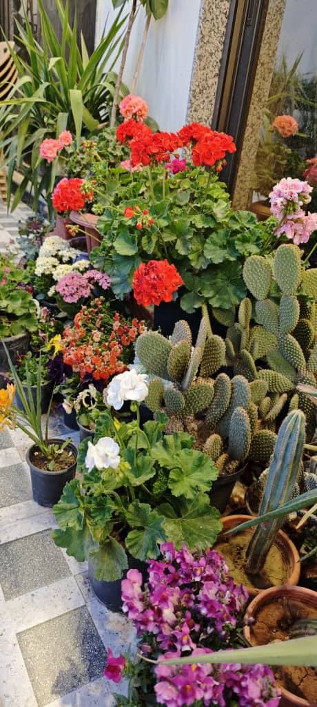 فيلا 170م² للبيع