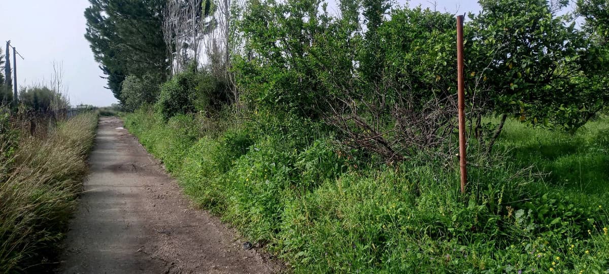 أرض 2000م² للبيع