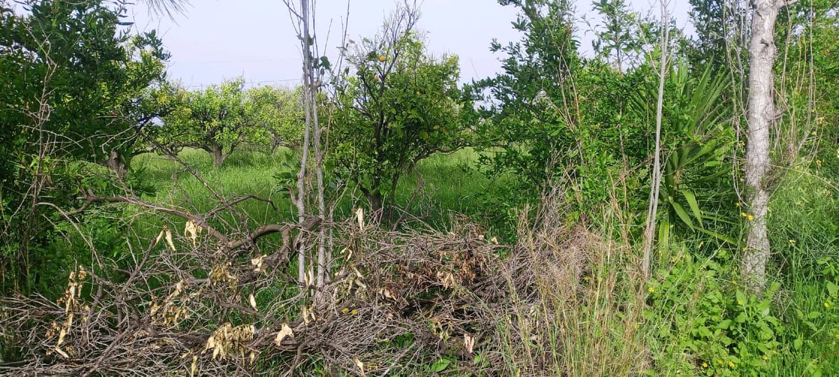 أرض 2000م² للبيع