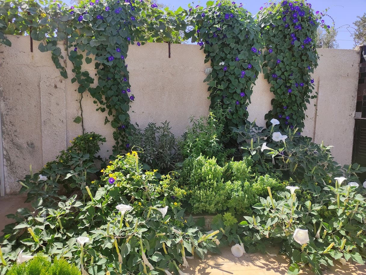 فيلا 225م² للبيع