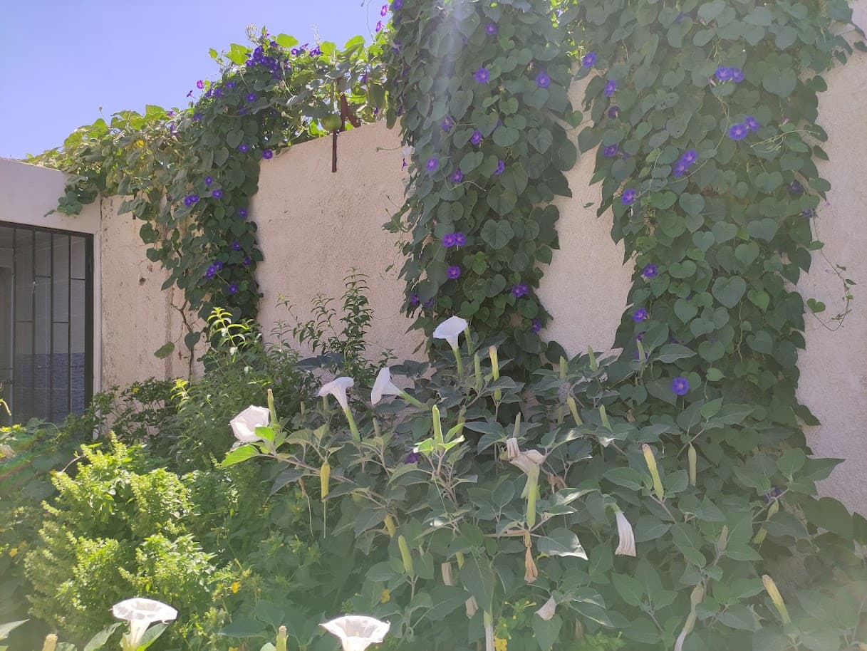 فيلا 225م² للبيع