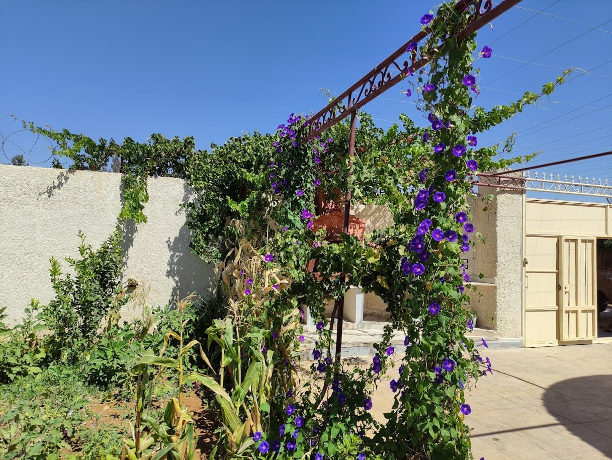 فيلا 225م² للبيع