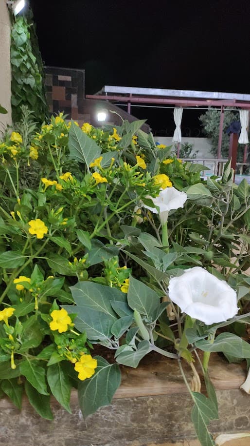 فيلا 225م² للبيع