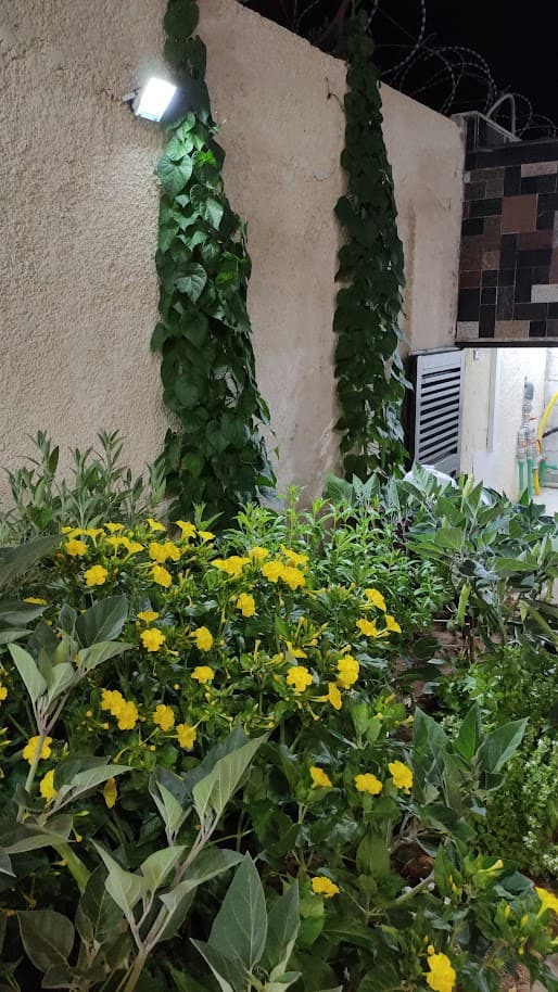 فيلا 225م² للبيع