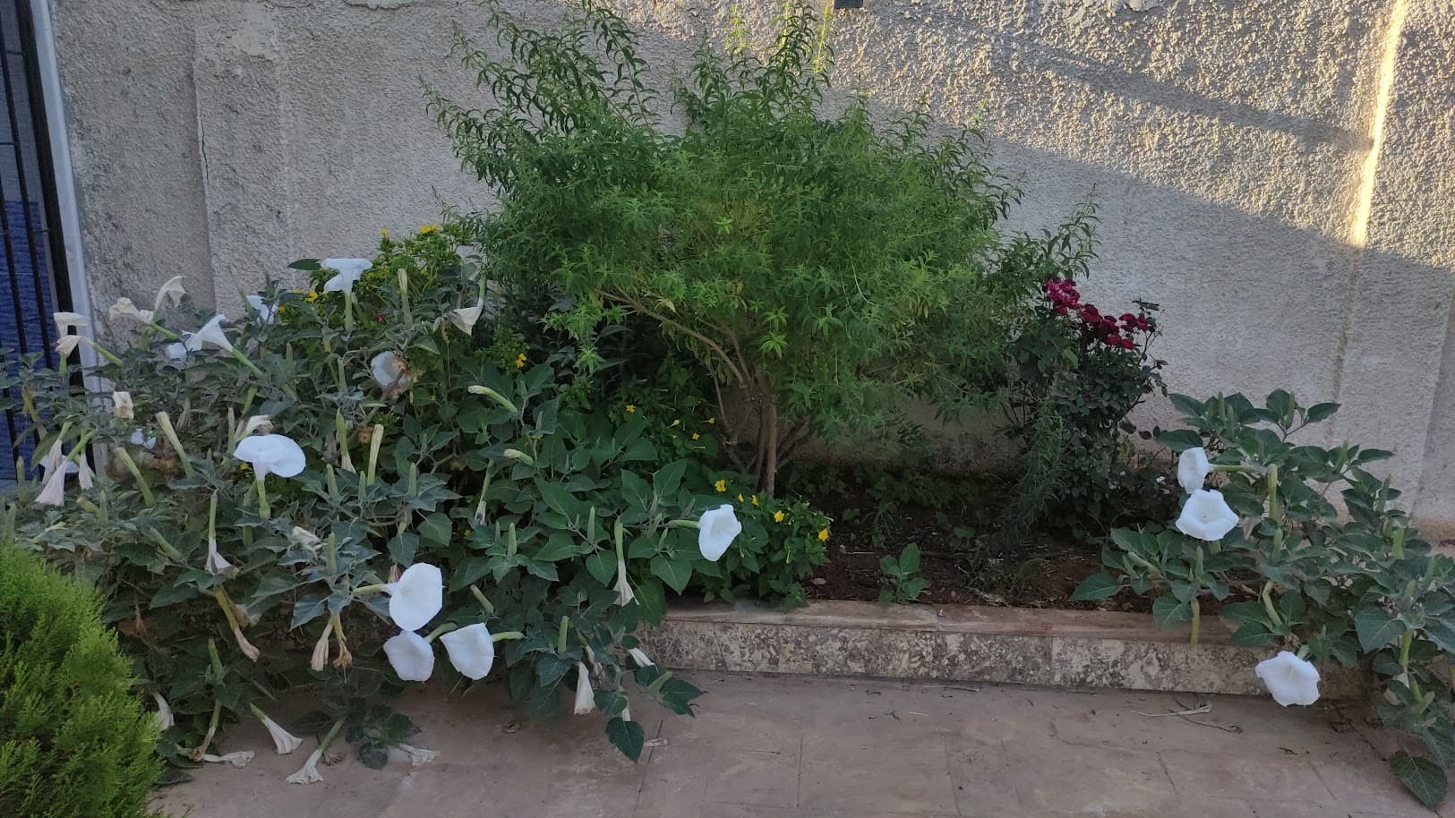 فيلا 225م² للبيع