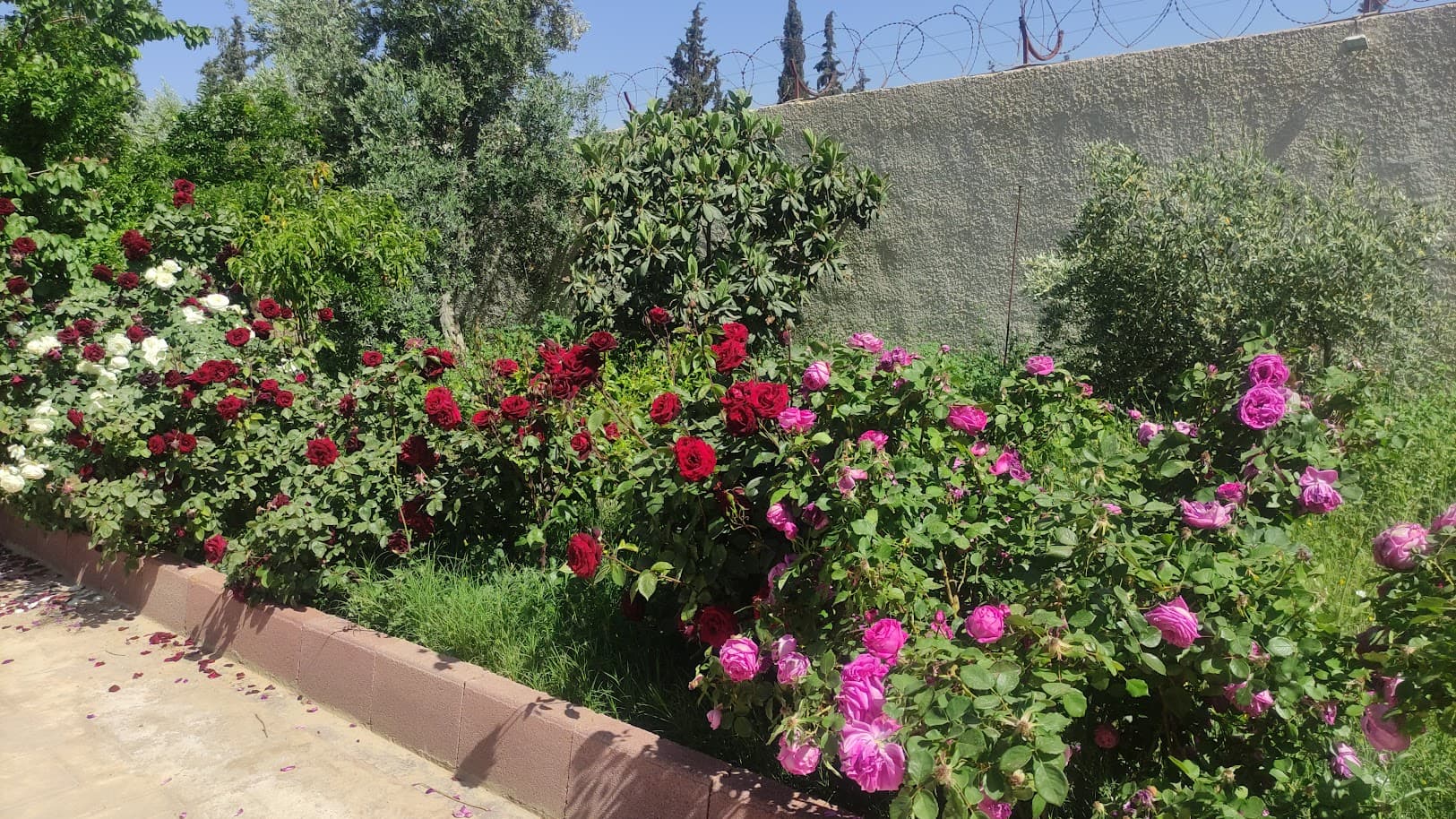 فيلا 225م² للبيع