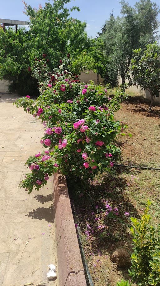 فيلا 225م² للبيع