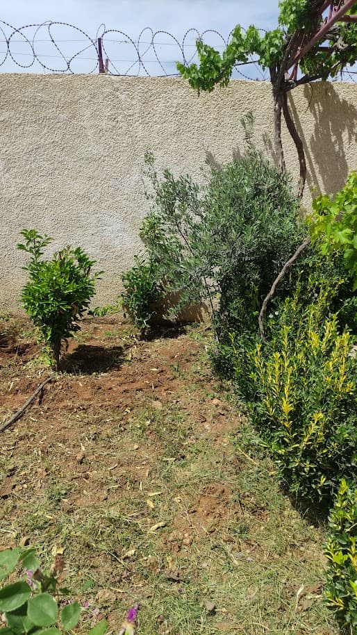 فيلا 225م² للبيع