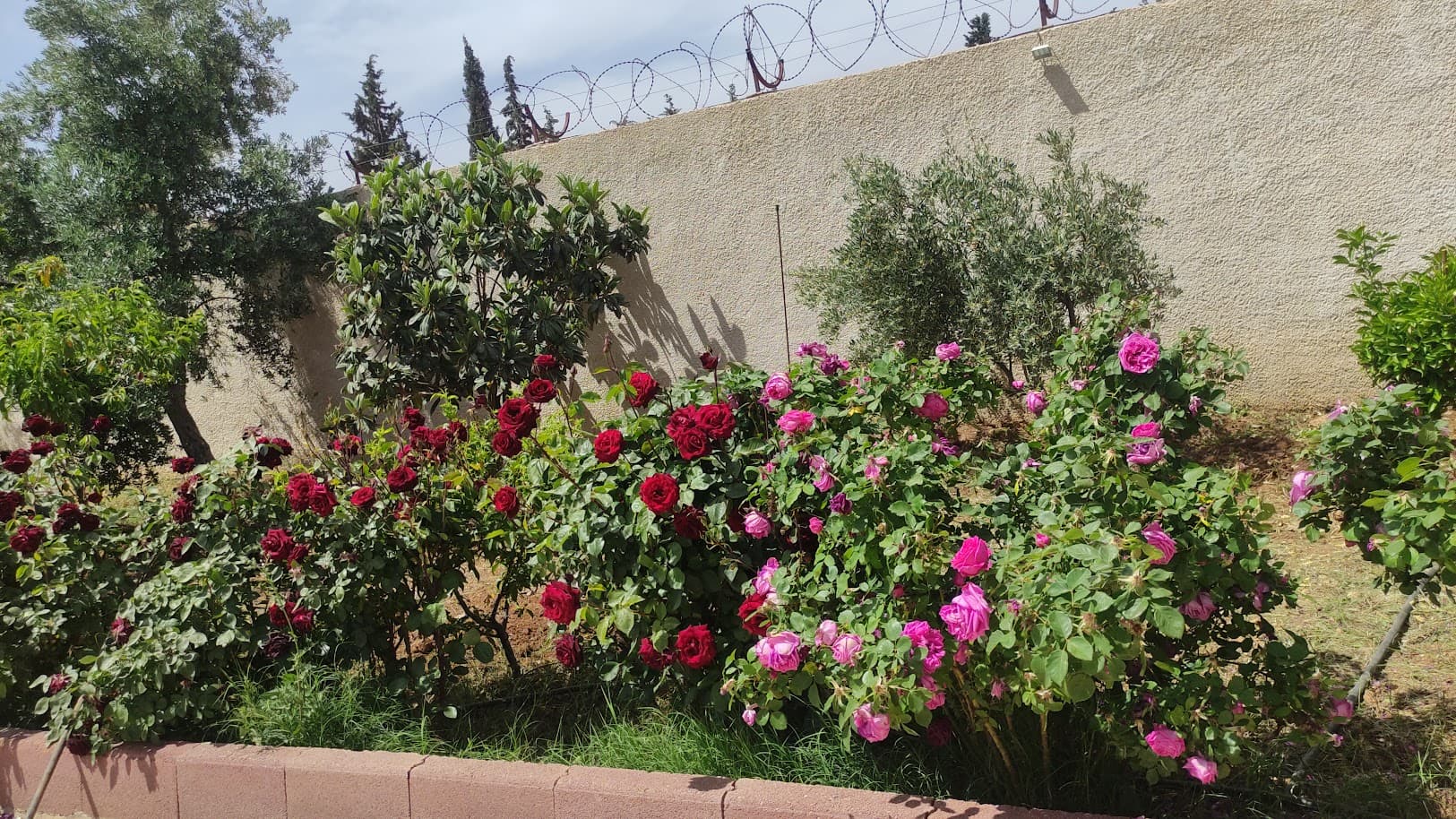 فيلا 225م² للبيع