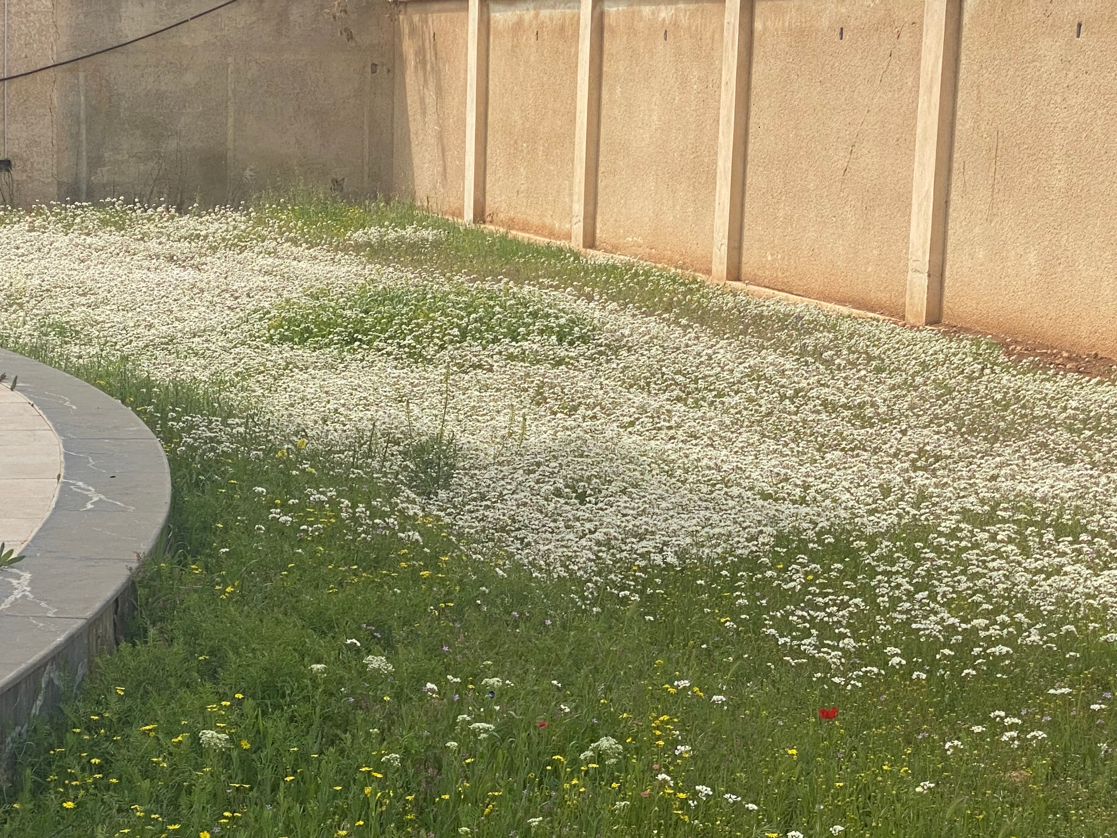 فيلا 5 غرف 3 صالات 540م² للبيع