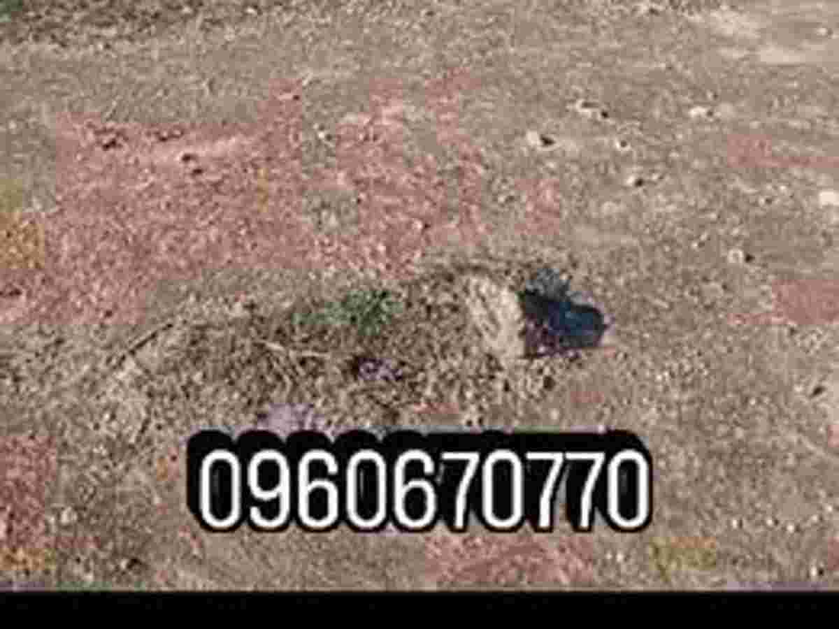 أرض 50000م² للبيع