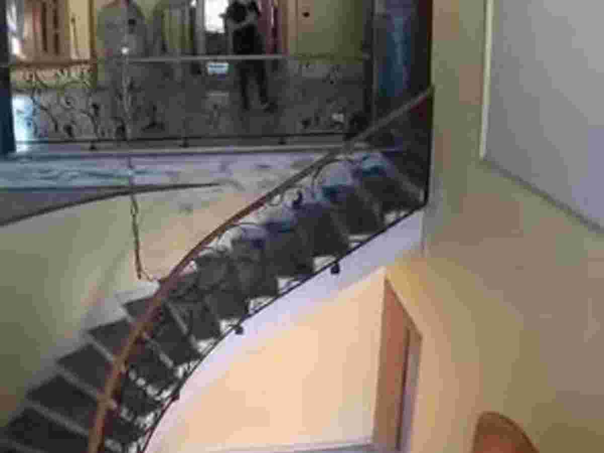 فيلا 4 غرف 1 صالات 570م² للبيع