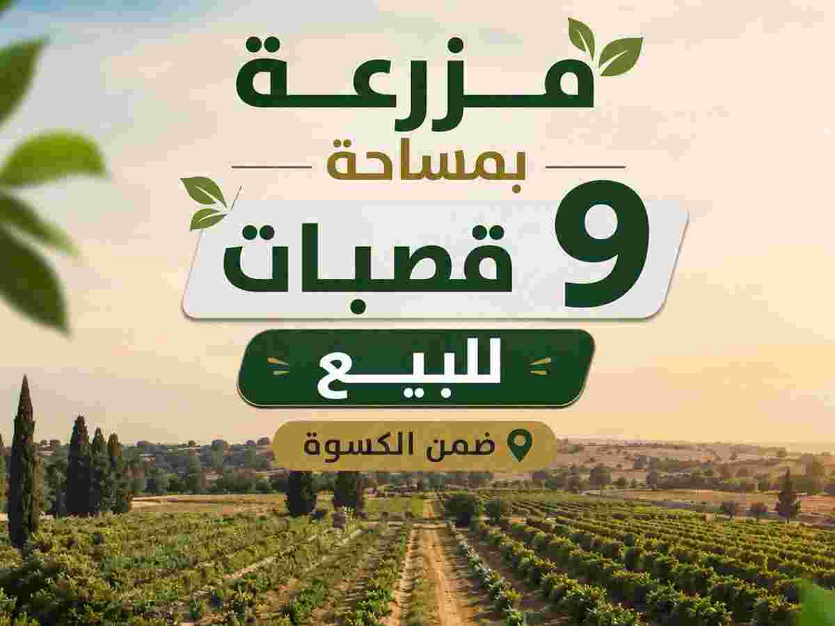 مزرعة 225م² للبيع