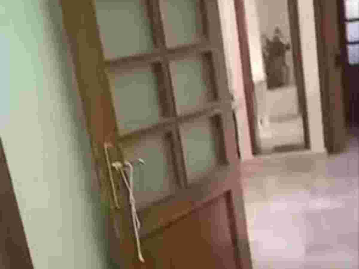 شقة 2 غرف 1 صالات طابق 3 مع فرش للإيجار